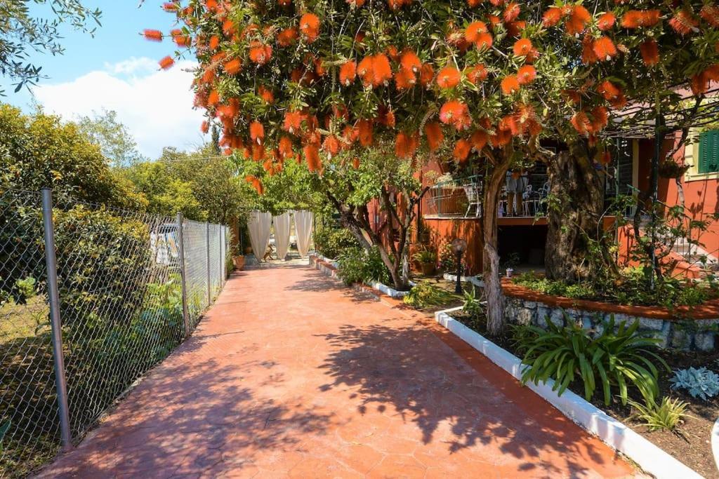 The Red House In Dassia Exterior photo